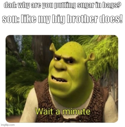 *sneezes* | dad: why are you putting sugar in bags? son: like my big brother does! | image tagged in shrek wait a minute,guy holding cardboard sign,oh shit,oh yeah oh no | made w/ Imgflip meme maker