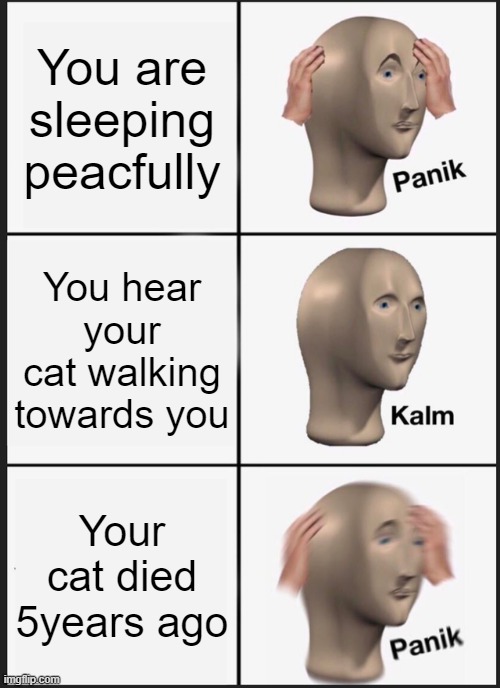 hmmmmmmmmm | You are sleeping peacfully; You hear your cat walking towards you; Your cat died 5years ago | image tagged in memes,panik kalm panik | made w/ Imgflip meme maker