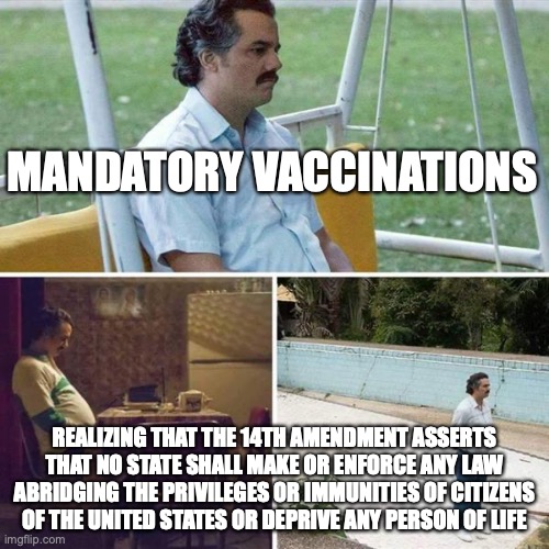 Lonely  | MANDATORY VACCINATIONS; REALIZING THAT THE 14TH AMENDMENT ASSERTS THAT NO STATE SHALL MAKE OR ENFORCE ANY LAW ABRIDGING THE PRIVILEGES OR IMMUNITIES OF CITIZENS OF THE UNITED STATES OR DEPRIVE ANY PERSON OF LIFE | image tagged in lonely | made w/ Imgflip meme maker