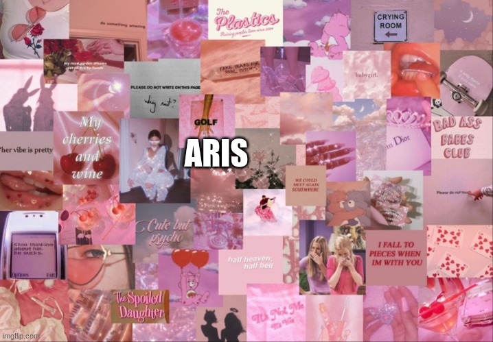 ARIS | made w/ Imgflip meme maker