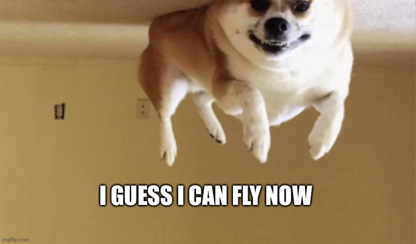 flying dog | I GUESS I CAN FLY NOW | image tagged in flying dog | made w/ Imgflip meme maker
