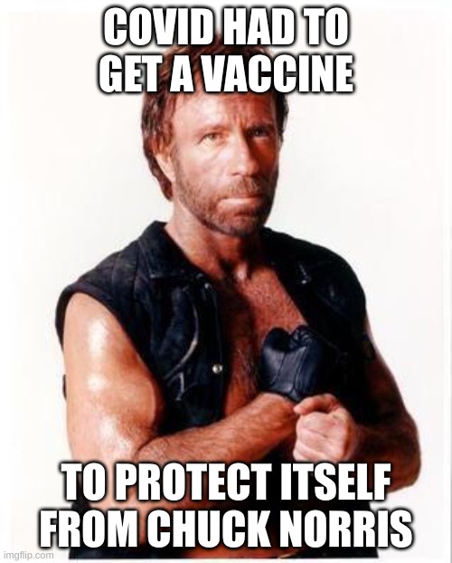 we need to bring these back |  COVID HAD TO GET A VACCINE; TO PROTECT ITSELF FROM CHUCK NORRIS | image tagged in memes,chuck norris flex,chuck norris,covid,vaccine,funny meme | made w/ Imgflip meme maker