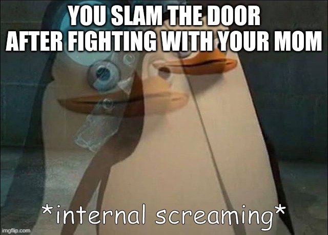Private Internal Screaming | YOU SLAM THE DOOR AFTER FIGHTING WITH YOUR MOM | image tagged in private internal screaming | made w/ Imgflip meme maker
