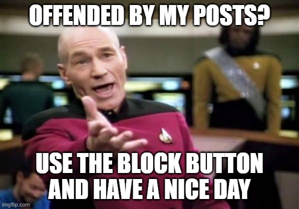 When You Are Offended by Posts |  OFFENDED BY MY POSTS? USE THE BLOCK BUTTON AND HAVE A NICE DAY | image tagged in memes,picard wtf | made w/ Imgflip meme maker