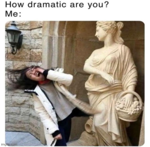 literaly me | image tagged in overreact | made w/ Imgflip meme maker