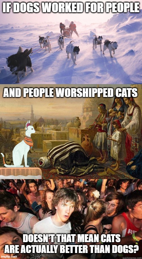 Q.E.D. | IF DOGS WORKED FOR PEOPLE; AND PEOPLE WORSHIPPED CATS; DOESN'T THAT MEAN CATS ARE ACTUALLY BETTER THAN DOGS? | image tagged in sudden realization,cats,dogs | made w/ Imgflip meme maker
