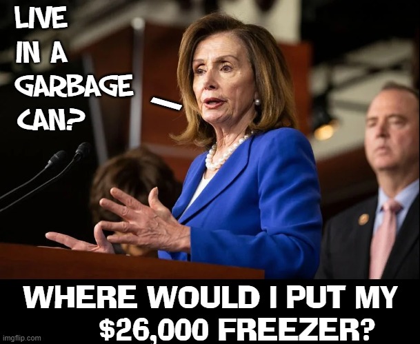 Many homeless in UR district live outta garbage cans. Could U? | LIVE      
IN A      
GARBAGE
CAN? WHERE WOULD I PUT MY
      $26,000 FREEZER? \ | image tagged in vince vance,nancy pelosi,adam schiff,garbage can,memes,freezer | made w/ Imgflip meme maker