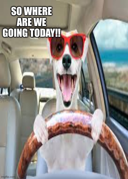 SO WHERE ARE WE GOING TODAY!! | image tagged in imgflip | made w/ Imgflip meme maker
