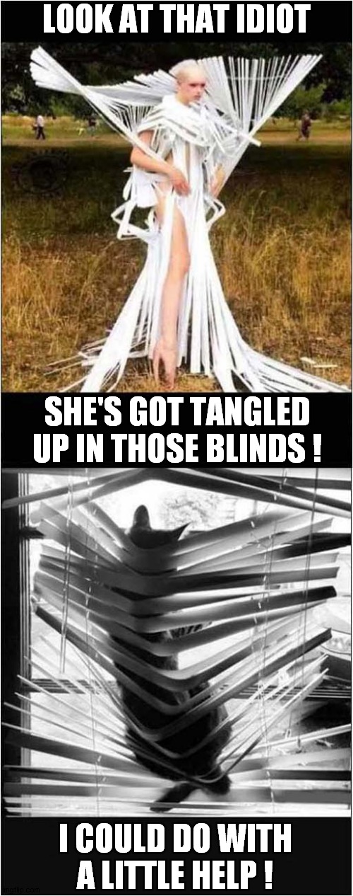 Some People Are Crazy ! | LOOK AT THAT IDIOT; SHE'S GOT TANGLED UP IN THOSE BLINDS ! I COULD DO WITH
A LITTLE HELP ! | image tagged in cats,stupid people,blinds | made w/ Imgflip meme maker