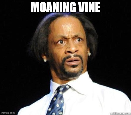 Katt Williams WTF Meme | MOANING VINE | image tagged in katt williams wtf meme | made w/ Imgflip meme maker