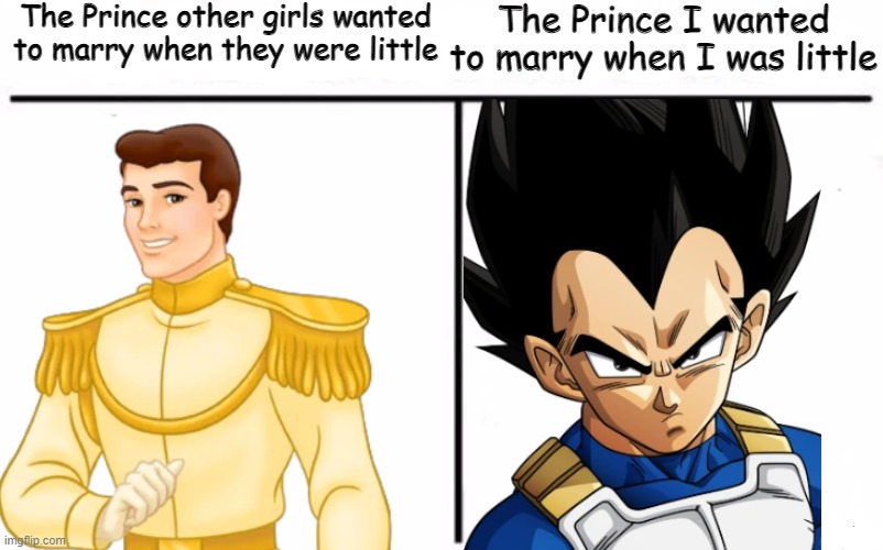 I really DID want to Marry him | The Prince other girls wanted to marry when they were little; The Prince I wanted to marry when I was little | image tagged in vegeta,prince,marriage,disney,stop reading the tags,why are you reading this | made w/ Imgflip meme maker