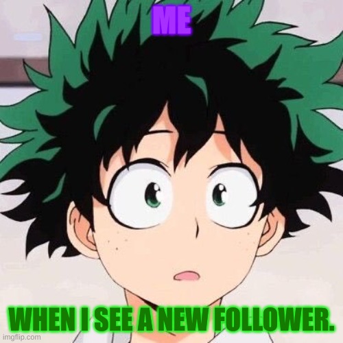 plz follow meh. | ME; WHEN I SEE A NEW FOLLOWER. | image tagged in wtf | made w/ Imgflip meme maker