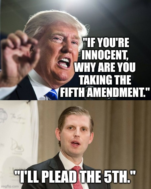 I will plead the 5th on pleading the 5th | "IF YOU'RE INNOCENT, WHY ARE YOU TAKING THE FIFTH AMENDMENT."; "I'LL PLEAD THE 5TH." | image tagged in donald trump,snowflake eric trump | made w/ Imgflip meme maker