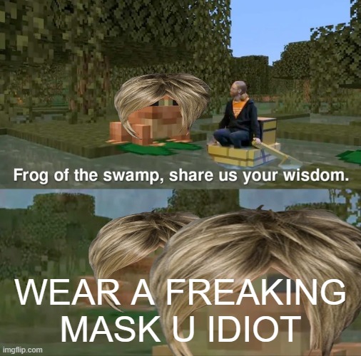 when you are a karen | WEAR A FREAKING MASK U IDIOT | image tagged in frog of the swamp share us your wisdom | made w/ Imgflip meme maker
