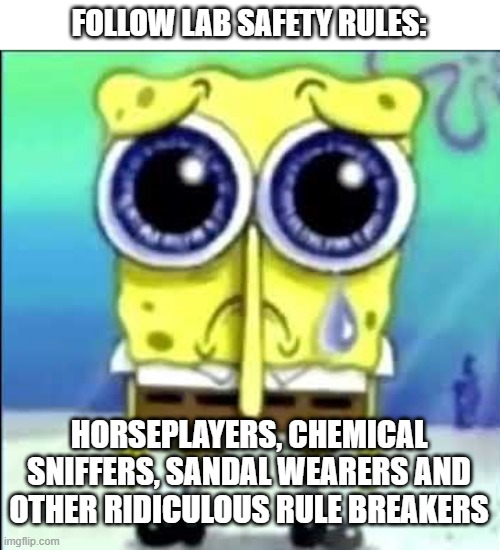 Lab Safety Rules | FOLLOW LAB SAFETY RULES:; HORSEPLAYERS, CHEMICAL SNIFFERS, SANDAL WEARERS AND OTHER RIDICULOUS RULE BREAKERS | image tagged in sad spongebob | made w/ Imgflip meme maker
