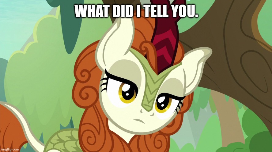 Emotionless Autumn Blaze (MLP) | WHAT DID I TELL YOU. | image tagged in emotionless autumn blaze mlp | made w/ Imgflip meme maker