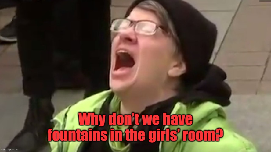 Screaming Liberal  | Why don’t we have fountains in the girls’ room? | image tagged in screaming liberal | made w/ Imgflip meme maker