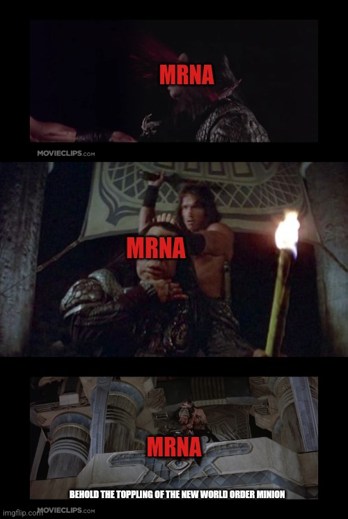 Death of mrna | MRNA; MRNA; MRNA; BEHOLD THE TOPPLING OF THE NEW WORLD ORDER MINION | image tagged in conan the barbarian,conan,barbarian | made w/ Imgflip meme maker