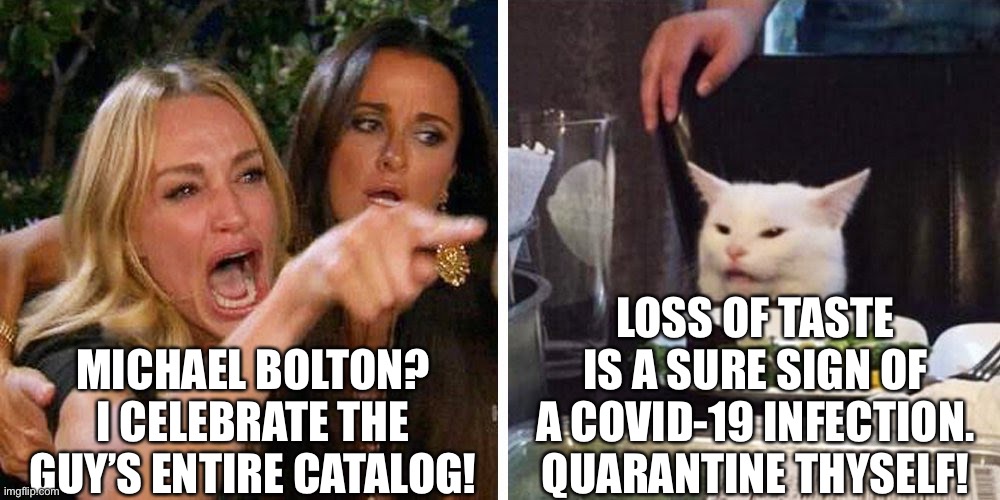 Michael Bolton & Smudge | LOSS OF TASTE IS A SURE SIGN OF A COVID-19 INFECTION. QUARANTINE THYSELF! MICHAEL BOLTON? I CELEBRATE THE GUY’S ENTIRE CATALOG! | image tagged in smudge the cat | made w/ Imgflip meme maker