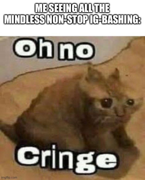Do you really have nothing better to do? | ME SEEING ALL THE MINDLESS NON-STOP IG-BASHING: | image tagged in oh no cringe | made w/ Imgflip meme maker
