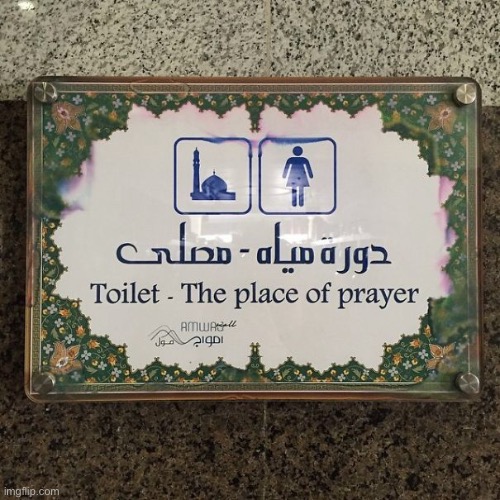 Translation fail! | image tagged in funny memes,toilet | made w/ Imgflip meme maker