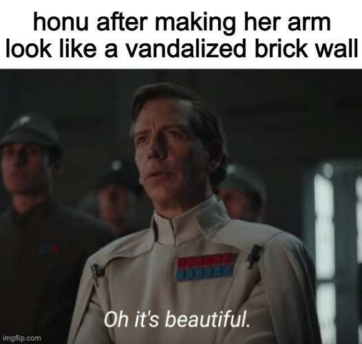 Oh it's beautiful | honu after making her arm look like a vandalized brick wall | image tagged in oh it's beautiful | made w/ Imgflip meme maker