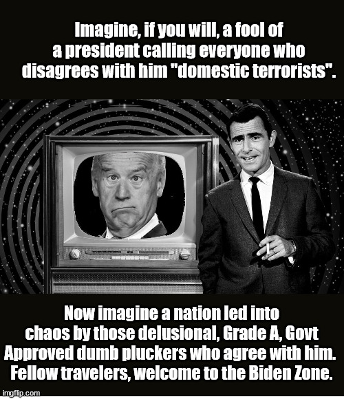 Welcome to the Biden Zone, a world of growing chaos, goverment dictates and overreach led by world class fools. | Imagine, if you will, a fool of a president calling everyone who disagrees with him "domestic terrorists". Now imagine a nation led into chaos by those delusional, Grade A, Govt Approved dumb pluckers who agree with him. 
Fellow travelers, welcome to the Biden Zone. | image tagged in twilight zone clueless | made w/ Imgflip meme maker