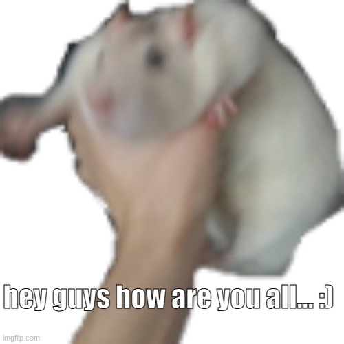 the he | hey guys how are you all... :) | image tagged in the he | made w/ Imgflip meme maker