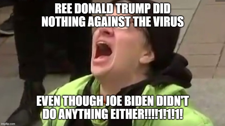 Liberal Logic | REE DONALD TRUMP DID NOTHING AGAINST THE VIRUS; EVEN THOUGH JOE BIDEN DIDN'T DO ANYTHING EITHER!!!!1!1!1! | image tagged in screaming liberal,liberals and conservatives both suck | made w/ Imgflip meme maker