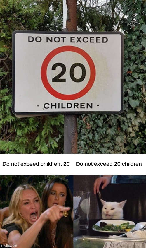 Do not exceed children, 20; Do not exceed 20 children | image tagged in memes,woman yelling at cat | made w/ Imgflip meme maker