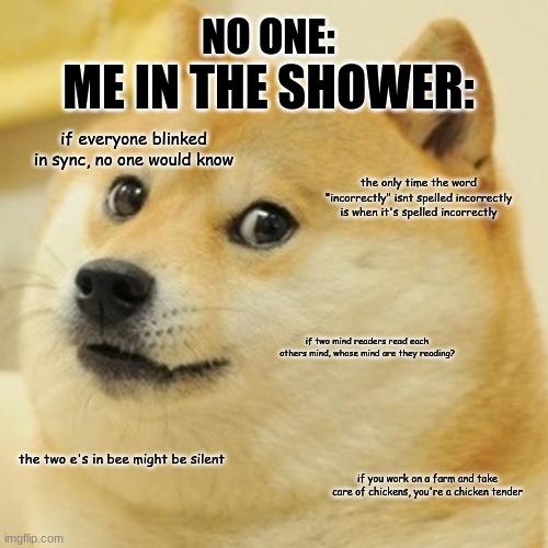 me in the shower: | NO ONE:; ME IN THE SHOWER:; if everyone blinked in sync, no one would know; the only time the word "incorrectly" isnt spelled incorrectly is when it's spelled incorrectly; if two mind readers read each others mind, whose mind are they reading? the two e's in bee might be silent; if you work on a farm and take care of chickens, you're a chicken tender | image tagged in memes,doge | made w/ Imgflip meme maker