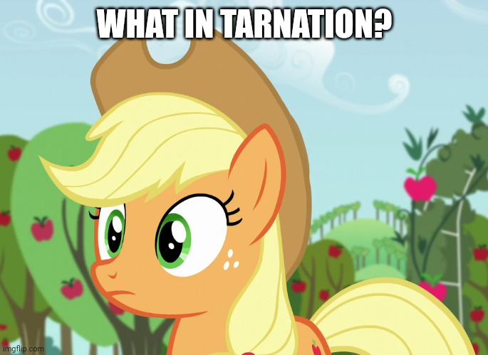 WHAT IN TARNATION? | made w/ Imgflip meme maker