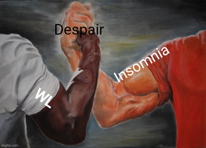 WL and insomnia | Despair; Insomnia; WL | image tagged in memes,epic handshake | made w/ Imgflip meme maker