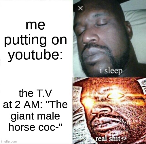 very funny | me putting on youtube:; the T.V at 2 AM: "The giant male horse coc-" | image tagged in memes,sleeping shaq | made w/ Imgflip meme maker