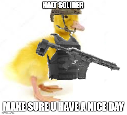 Duckie |  HALT SOLIDER; MAKE SURE U HAVE A NICE DAY | image tagged in duckie,have a good day | made w/ Imgflip meme maker