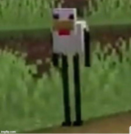 i made this enderchicken from a egg | image tagged in cursed minecraft chicken | made w/ Imgflip meme maker