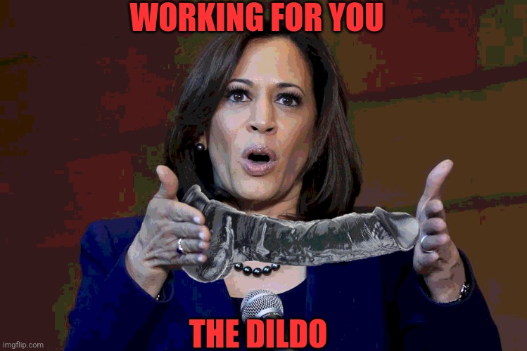WORKING FOR YOU THE DILDO | made w/ Imgflip meme maker