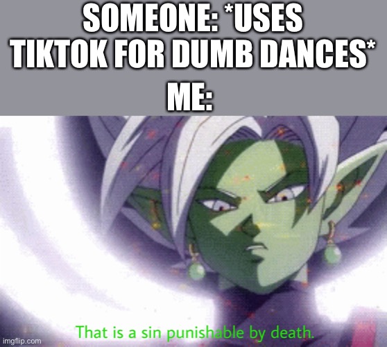 I only use it for memes, nothing else | SOMEONE: *USES TIKTOK FOR DUMB DANCES*; ME: | image tagged in ningen | made w/ Imgflip meme maker