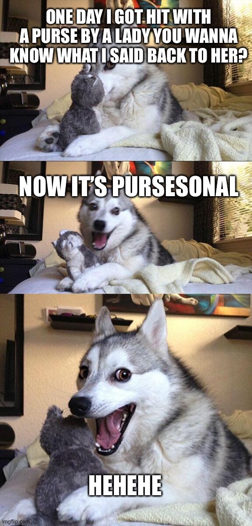 Bad pun dog | ONE DAY I GOT HIT WITH A PURSE BY A LADY YOU WANNA KNOW WHAT I SAID BACK TO HER? NOW IT’S PURSESONAL; HEHEHE | image tagged in memes,bad pun dog | made w/ Imgflip meme maker