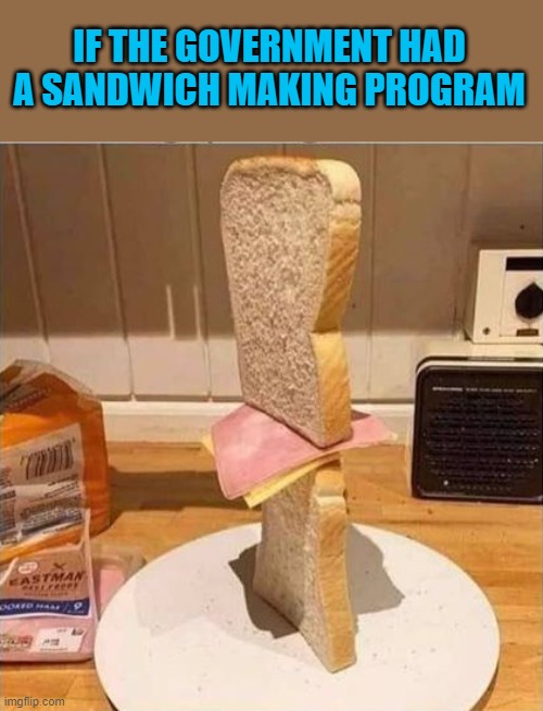 government | IF THE GOVERNMENT HAD A SANDWICH MAKING PROGRAM | image tagged in us government,programs | made w/ Imgflip meme maker