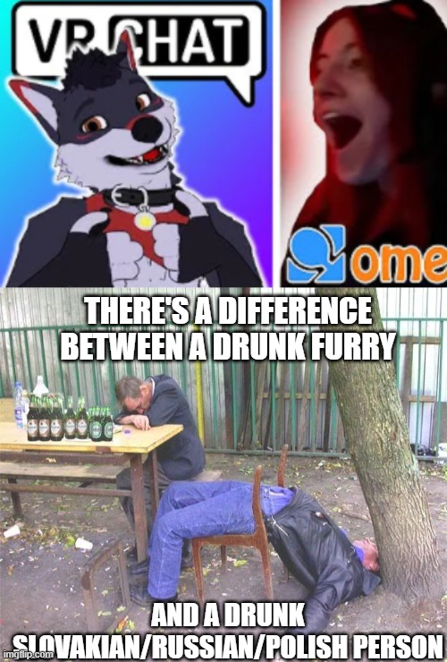 + drunk czech person | THERE'S A DIFFERENCE BETWEEN A DRUNK FURRY; AND A DRUNK SLOVAKIAN/RUSSIAN/POLISH PERSON | image tagged in drunk russian | made w/ Imgflip meme maker