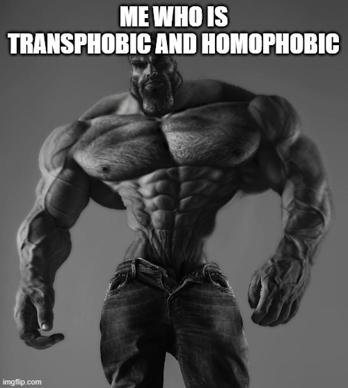 GigaChad | ME WHO IS TRANSPHOBIC AND HOMOPHOBIC | image tagged in gigachad | made w/ Imgflip meme maker