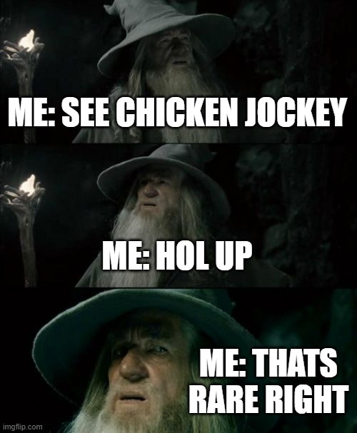 Confused Gandalf | ME: SEE CHICKEN JOCKEY; ME: HOL UP; ME: THATS RARE RIGHT | image tagged in memes,confused gandalf,minecraft,funny | made w/ Imgflip meme maker