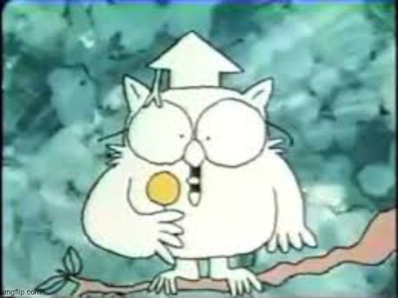 tootsie pop owl | image tagged in tootsie pop owl | made w/ Imgflip meme maker
