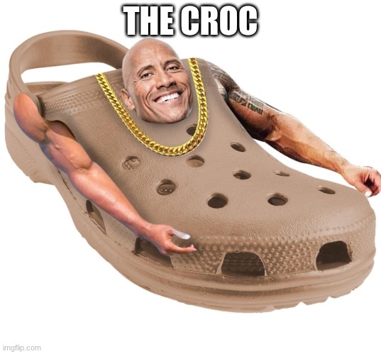 The crock | THE CROC | image tagged in funny memes | made w/ Imgflip meme maker