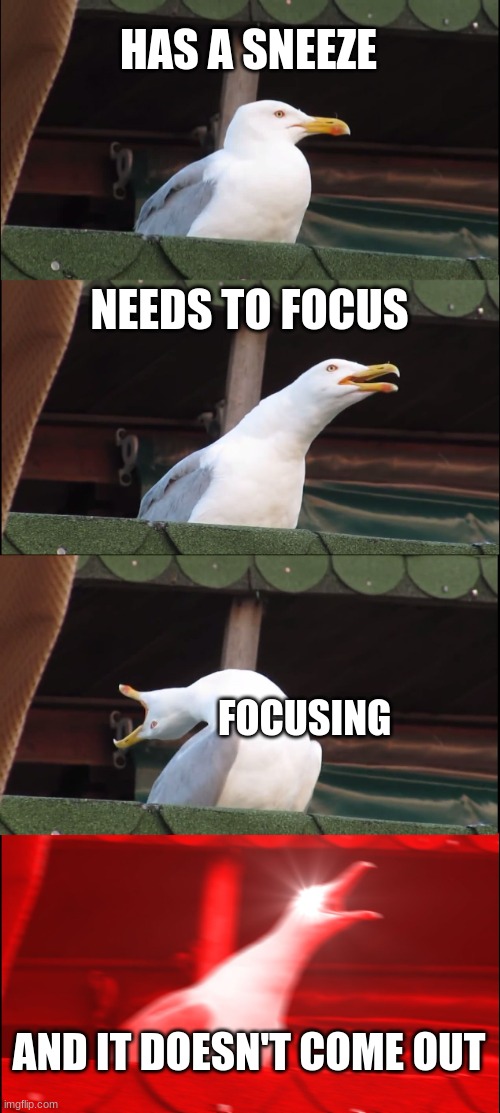 I hate when it happens | HAS A SNEEZE; NEEDS TO FOCUS; FOCUSING; AND IT DOESN'T COME OUT | image tagged in memes,inhaling seagull | made w/ Imgflip meme maker
