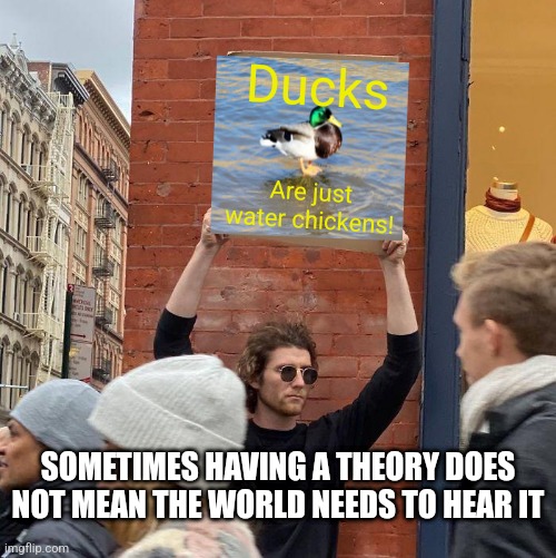 Ducks....funny chickens in disguise??? | Ducks; Are just water chickens! SOMETIMES HAVING A THEORY DOES NOT MEAN THE WORLD NEEDS TO HEAR IT | image tagged in memes,guy holding cardboard sign,duck | made w/ Imgflip meme maker