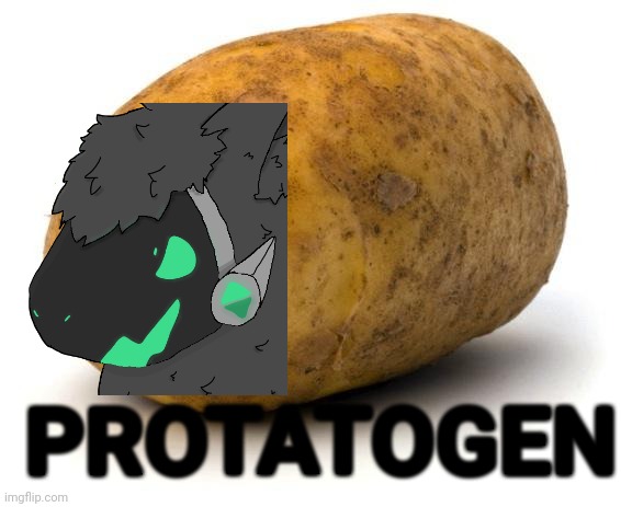 Protatogen | PROTATOGEN | image tagged in i am a potato,protogen,bad puns,shitpost | made w/ Imgflip meme maker