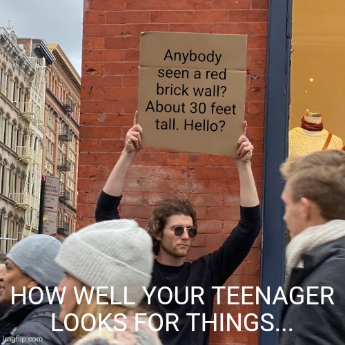 Looking for things....not something you want teens to do. |  Anybody seen a red brick wall? About 30 feet tall. Hello? HOW WELL YOUR TEENAGER LOOKS FOR THINGS... | image tagged in memes,guy holding cardboard sign,teenagers,looking | made w/ Imgflip meme maker