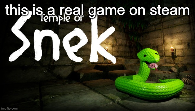 this is a real game on steam | made w/ Imgflip meme maker
